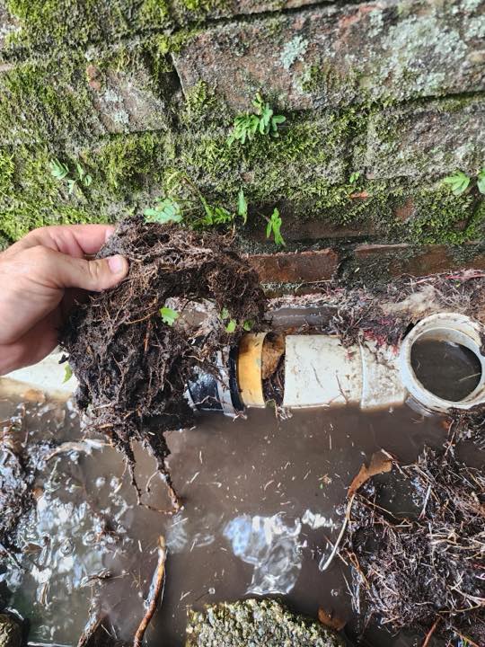 Tison's Plumbing drain cleaning photo